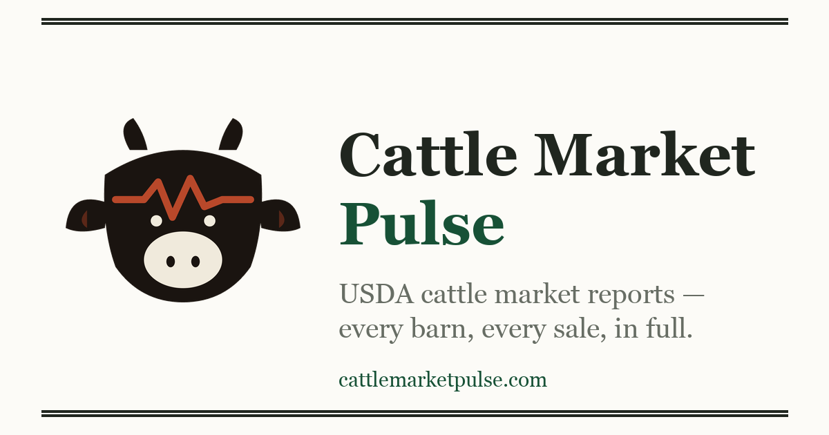 Utah Auction Markets Report Cattle Prices Through Oct. 8, 2026